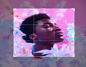 Drupal Europa Procesamiento Automático de Imágenes